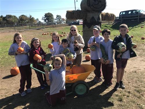 connorsfarm connorsfarm